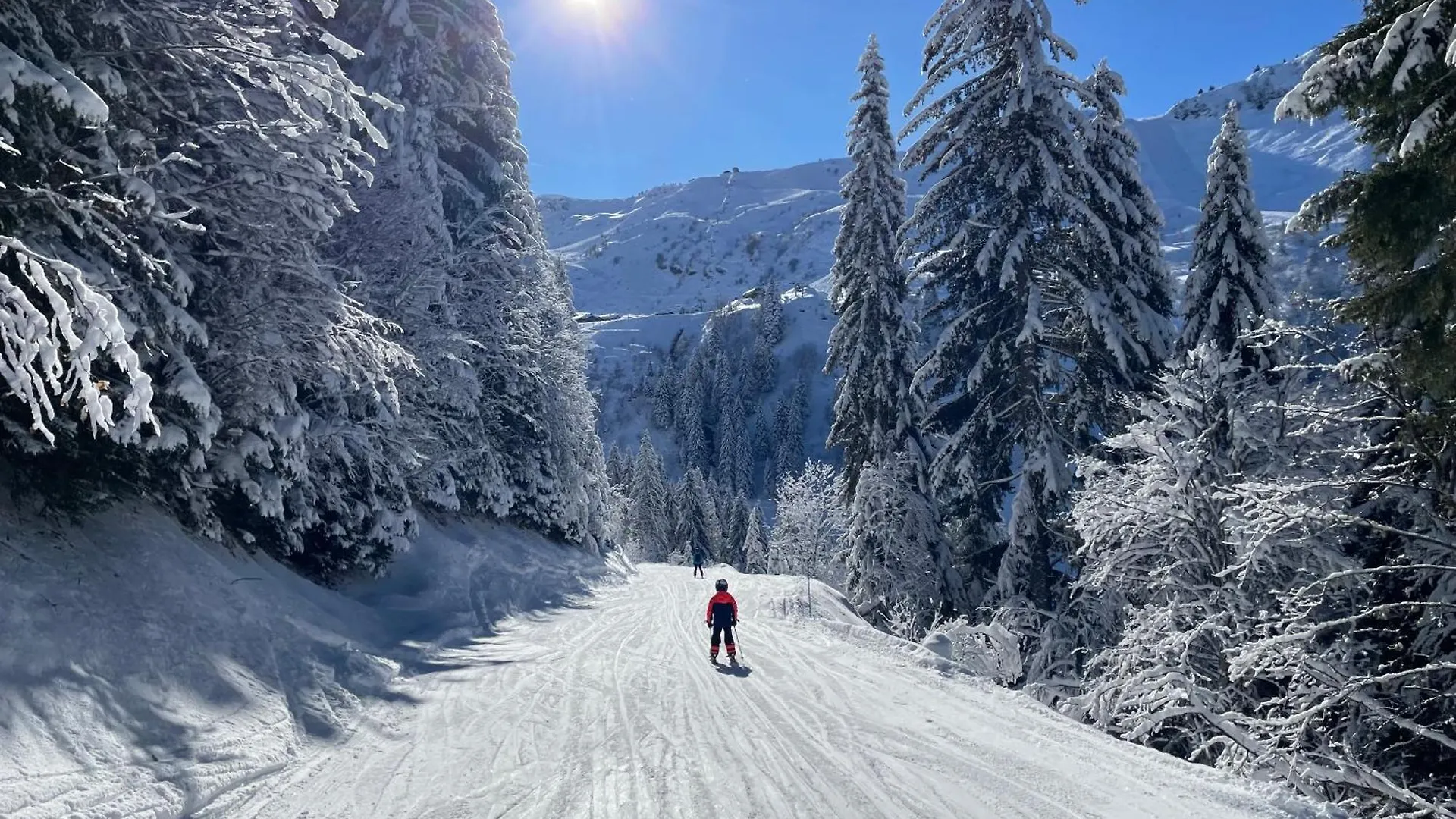 Chalet L'Alpaga Chatel